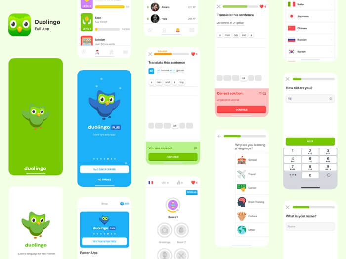 Duolingo App