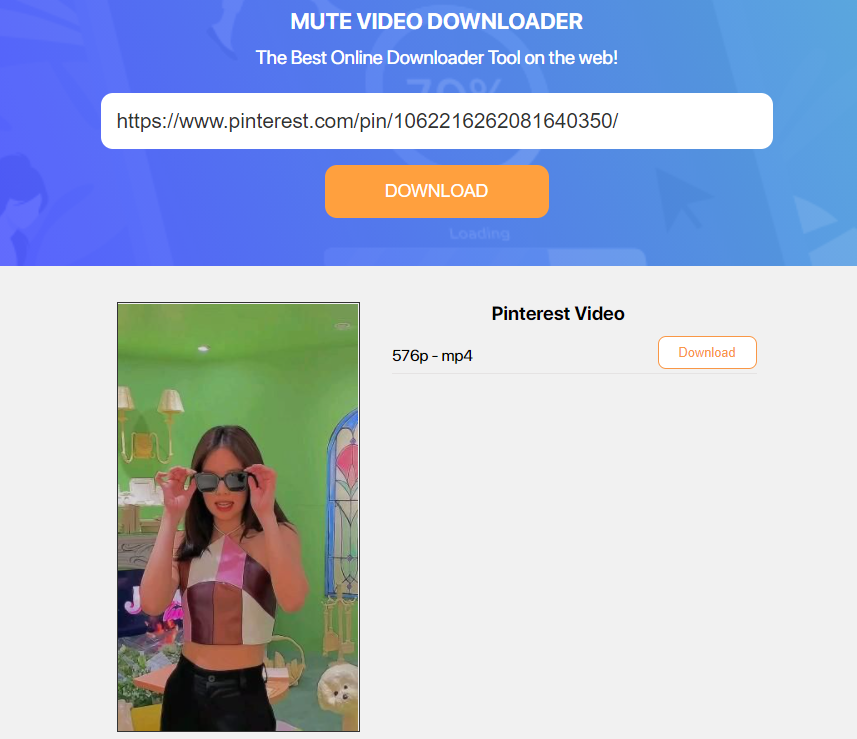 Mute Pinterest Video Downloaders