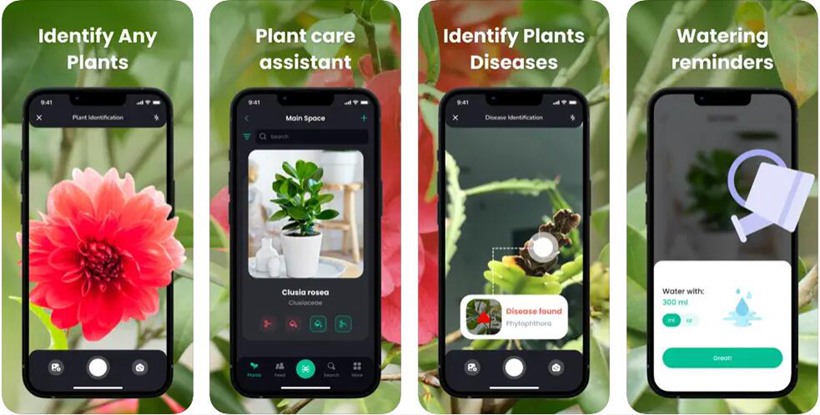 Plantin App Review: Green Thumb Made Easy