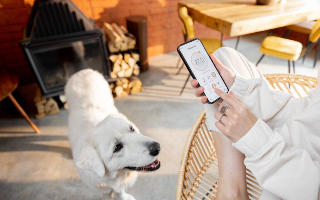 10 Best Dog Training Apps: Tailored Training for Every Pup